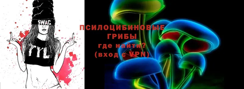 Галлюциногенные грибы Cubensis  Курчалой 